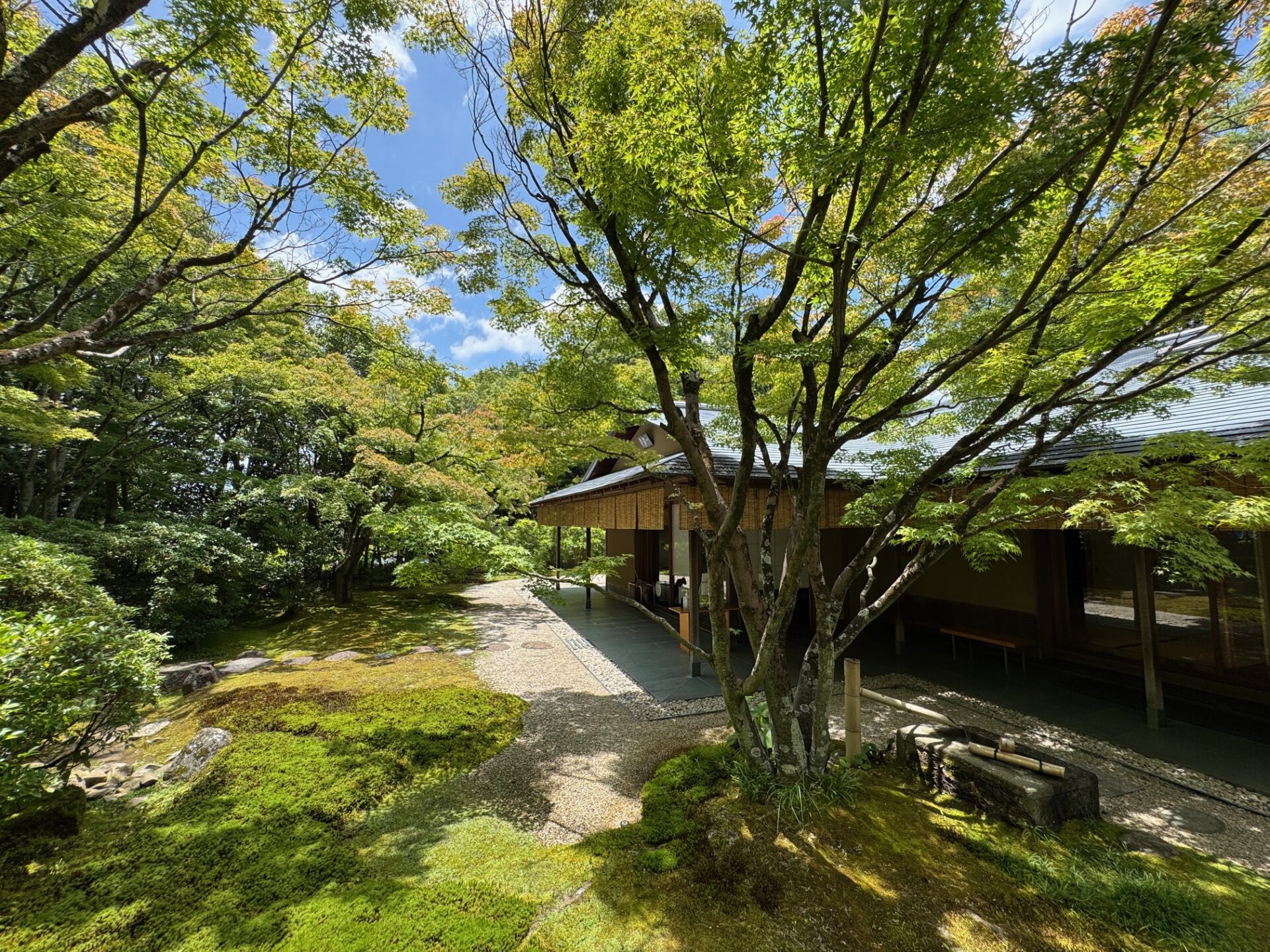 豊田市美術館・谷口吉生/サン工房・スタジオ