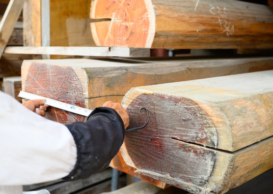 素材選び イメージ写真