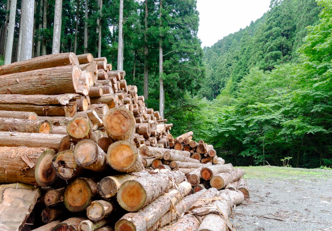 素材 イメージ写真