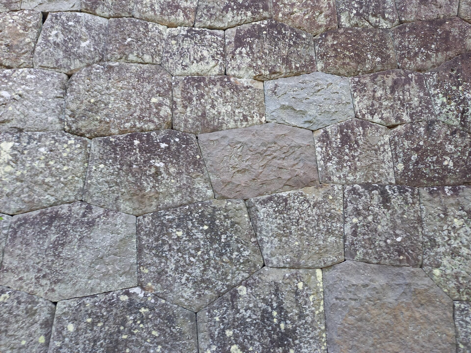 【繊細な大仕事】～スタッフのひとりごと-其の６８～