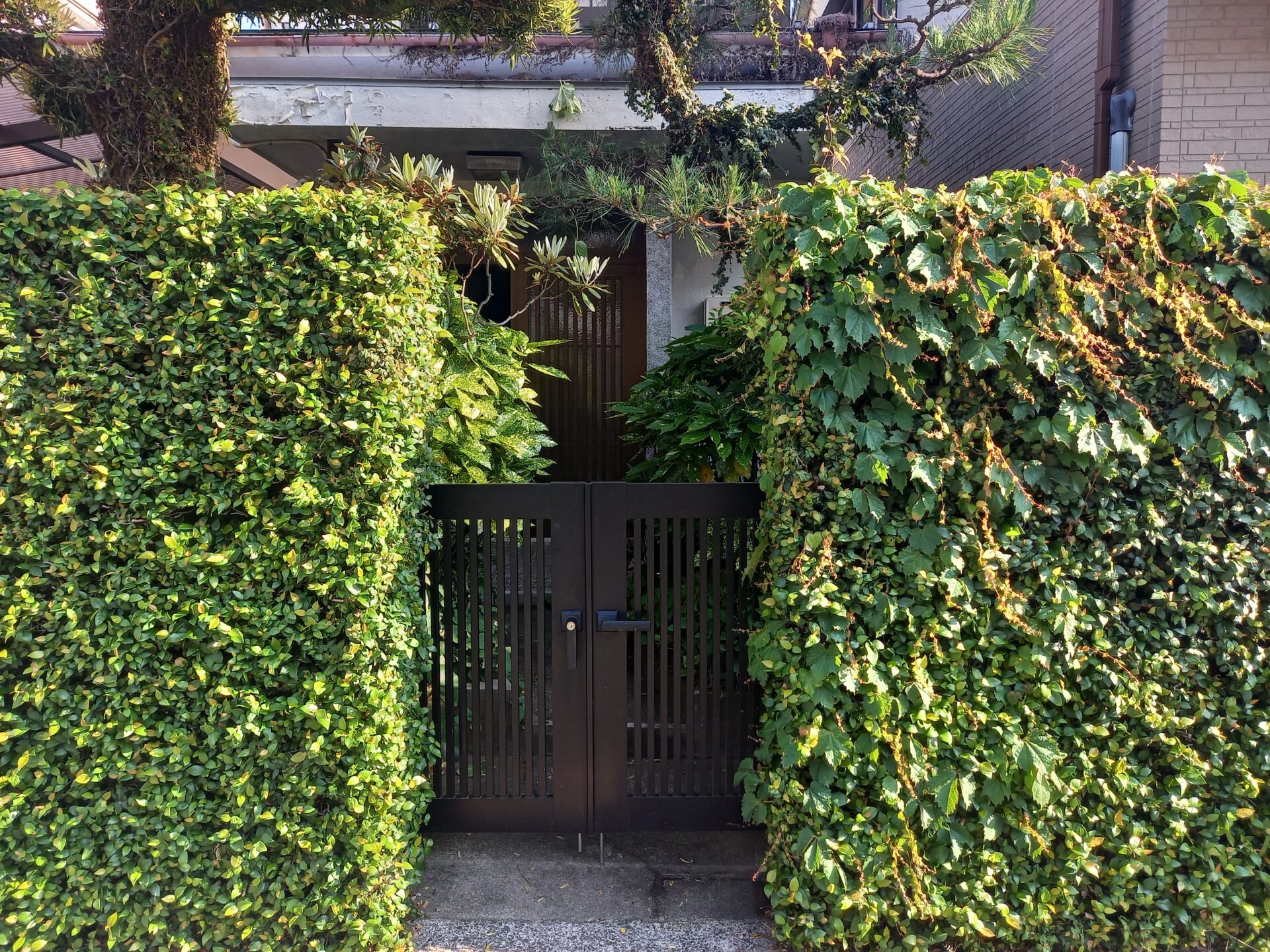 【安心するアプローチ】～スタッフのひとりごと-其の７３～