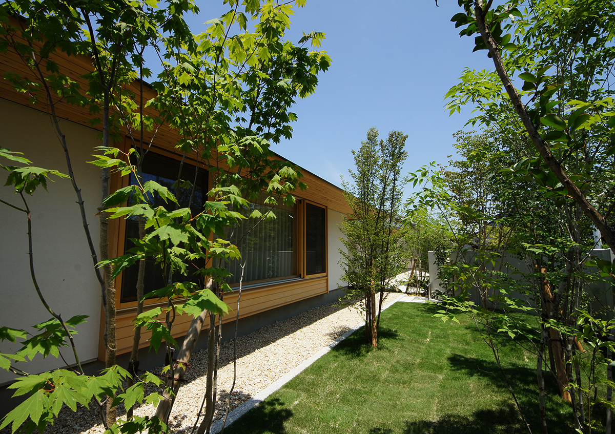 おすすめの庭づくり【雑木の庭】～木の家設計作法-其の３６６～