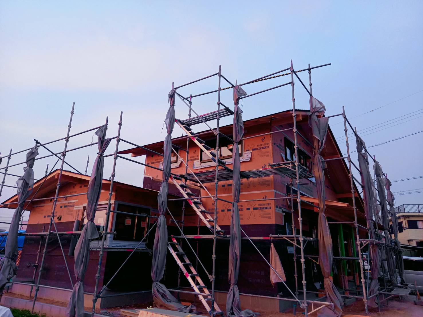 【可愛さと強さのギャップ】～スタッフのひとりごと-其の５６～