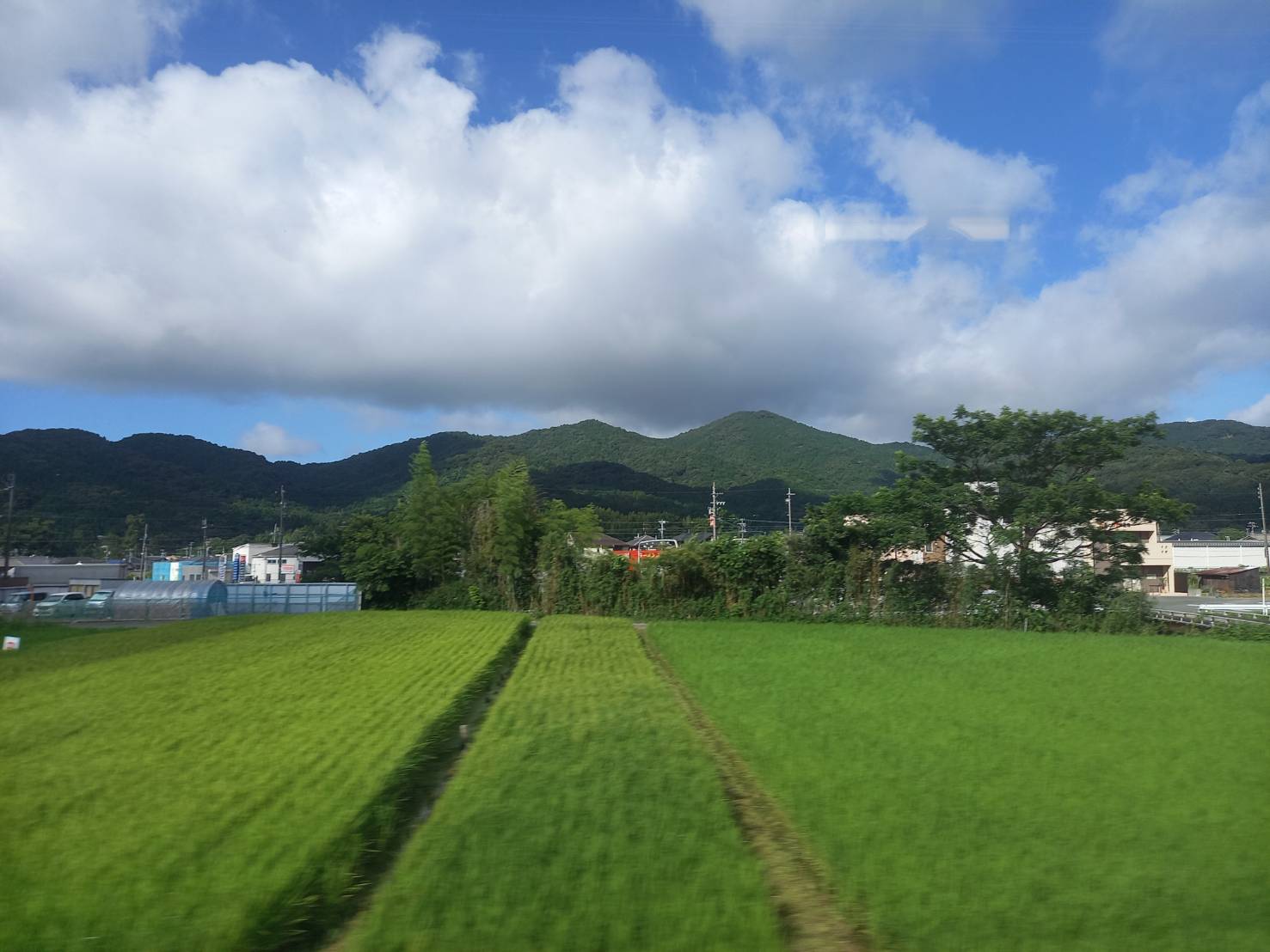 【あるのに使えない】～スタッフのひとりごと-其の８９～