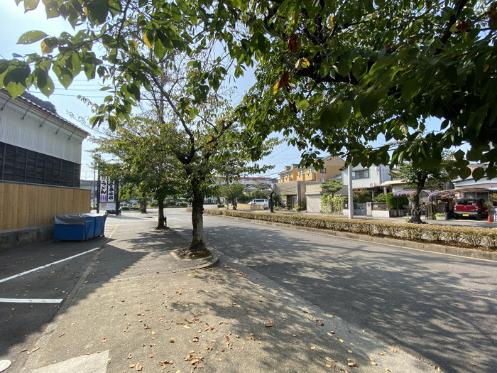 岡崎を愛する地域工務店として【落ち葉との格闘】～ひとりごと-其の２～