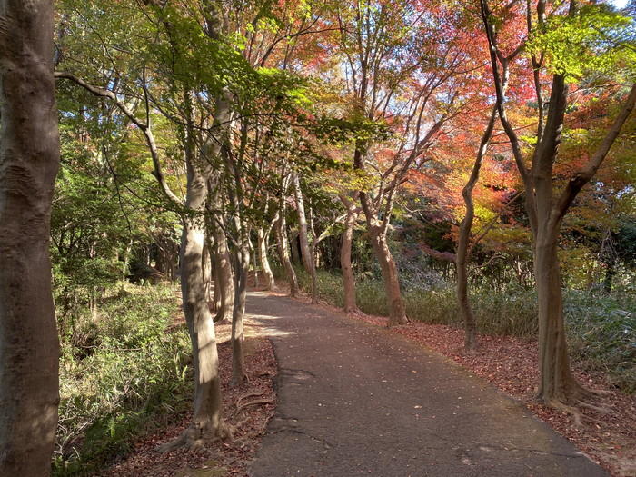 岡崎市の木の家工務店が岡崎市の名所を紹介【岡崎市東公園　紅葉】～岡崎の風景-其の７～