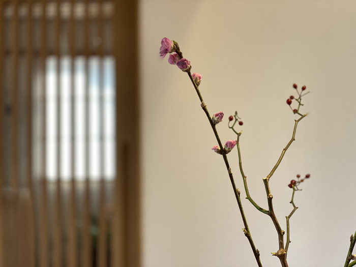 岡崎市の工務店から春の便り【梅の花】～スタジオの風景-其の１９～