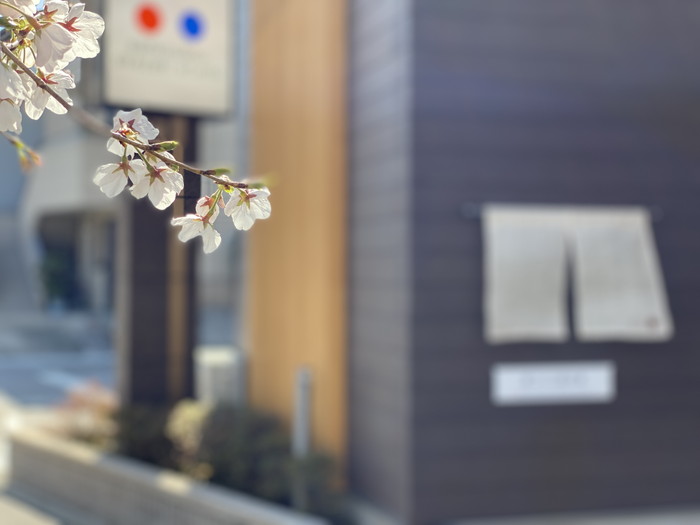 岡崎市の工務店からの桜だより【只今６分咲きです】～スタジオの風景-其の２８～