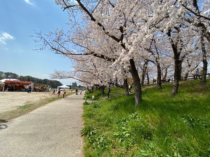 岡崎市の工務店からの桜だより【岡崎城公園桜祭り】～岡崎の風景-其の１５