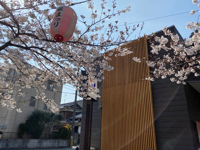 岡崎市の工務店からの桜だより【ほぼ満開を迎えました】～スタジオの風景-其の２９