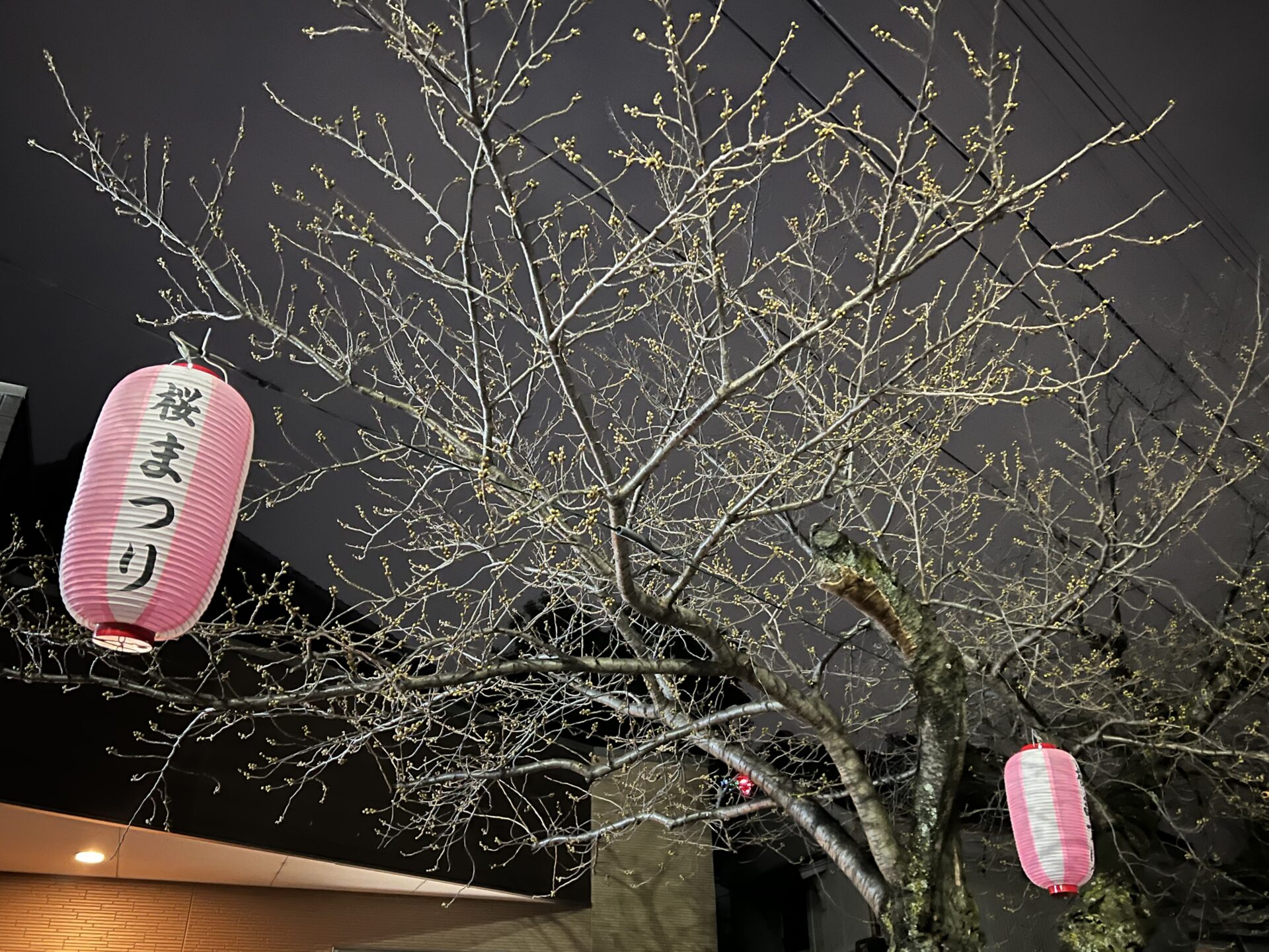 【意気揚々と】～金曜日のつぶやきｰ其の7～