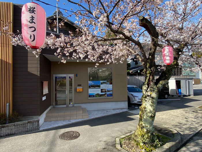 【桜まつりに合わせて】～スタッフのひとりごと-其の１３３～