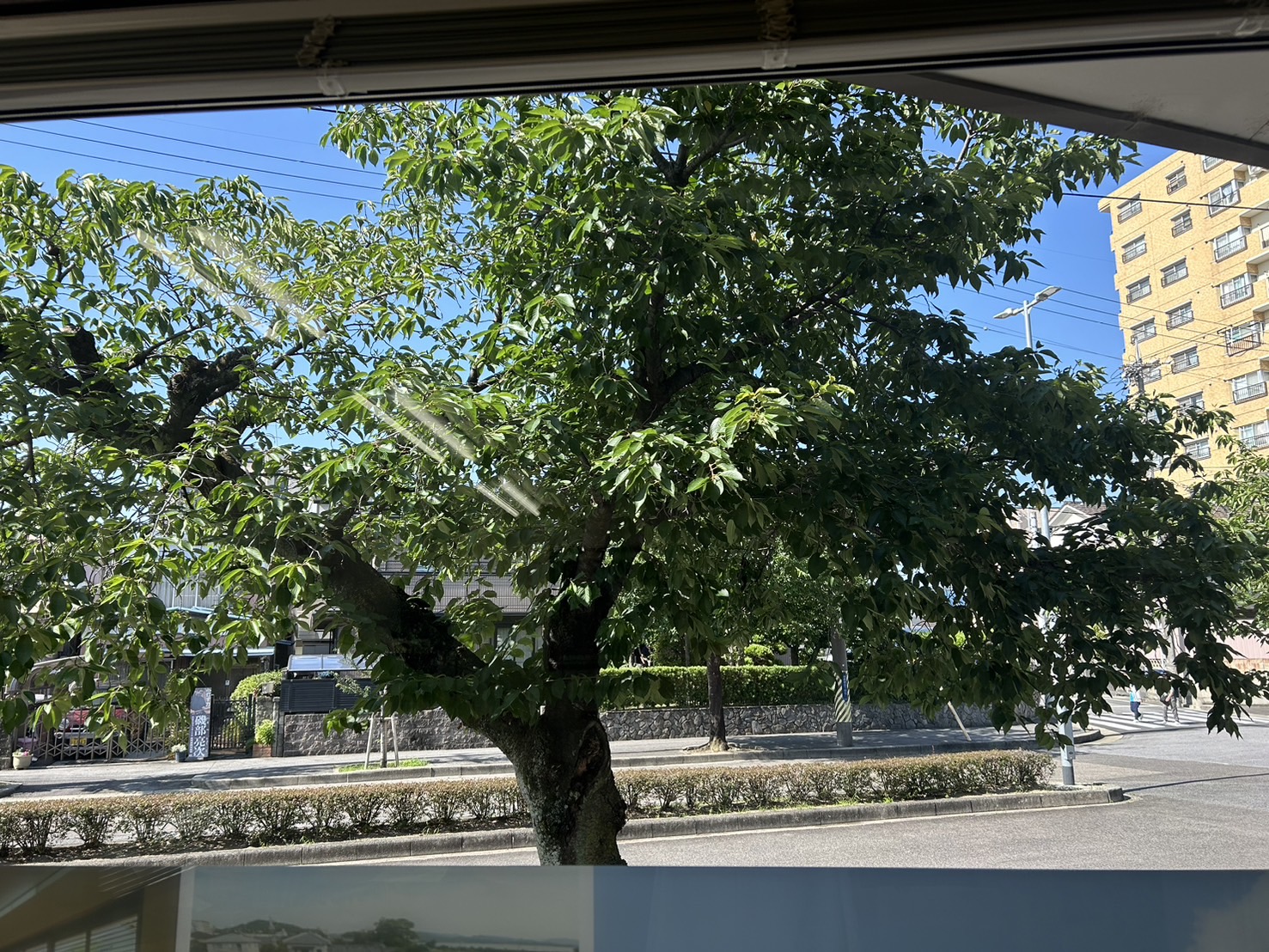 岡崎市の木の家工務店/サン工房・スタジオ/スタッフブログ/【大事な暑さ対策】