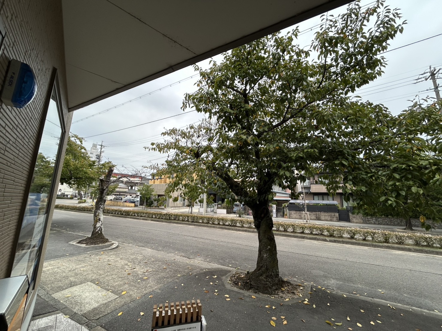 岡崎市の木の家工務店/サン工房・スタジオ/スタッフブログ/【季節の変わり目】